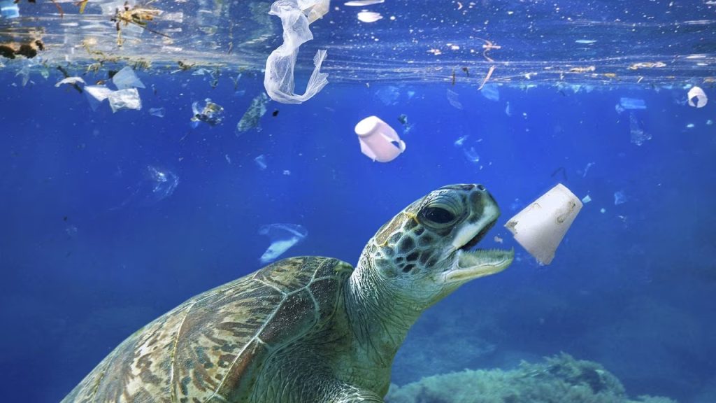 19 Interessante Fakten über Plastik Im Meer ᐈ Millionenfakten 4129